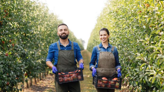 Assunzione di dipendenti nel settore agricolo