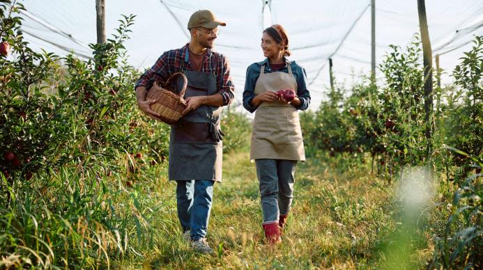 Die Einstellung von landwirtschaftlichen Arbeitern Die Einstellung von landwirtschaftlichen Arbeitern
