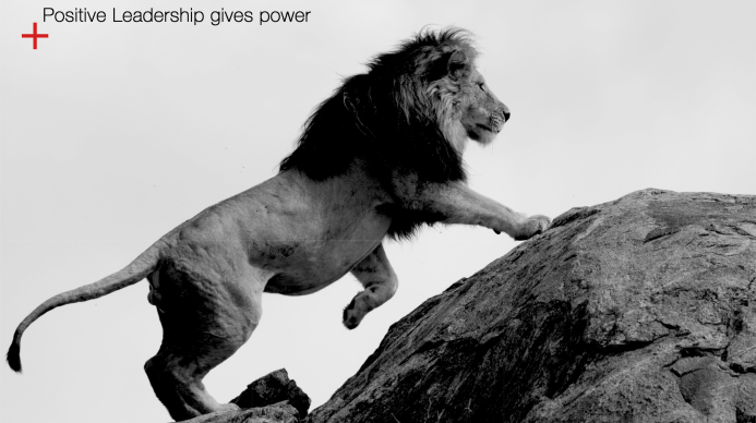 positive Leadership